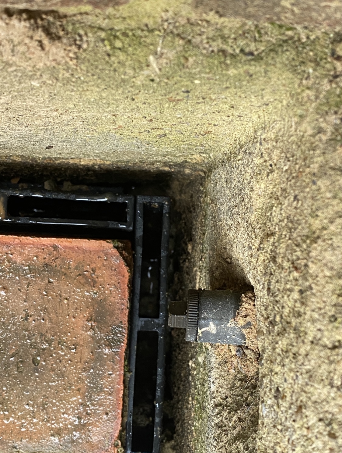 A212A5A6-0CF0-404A-A59E-C8823FC9BA54