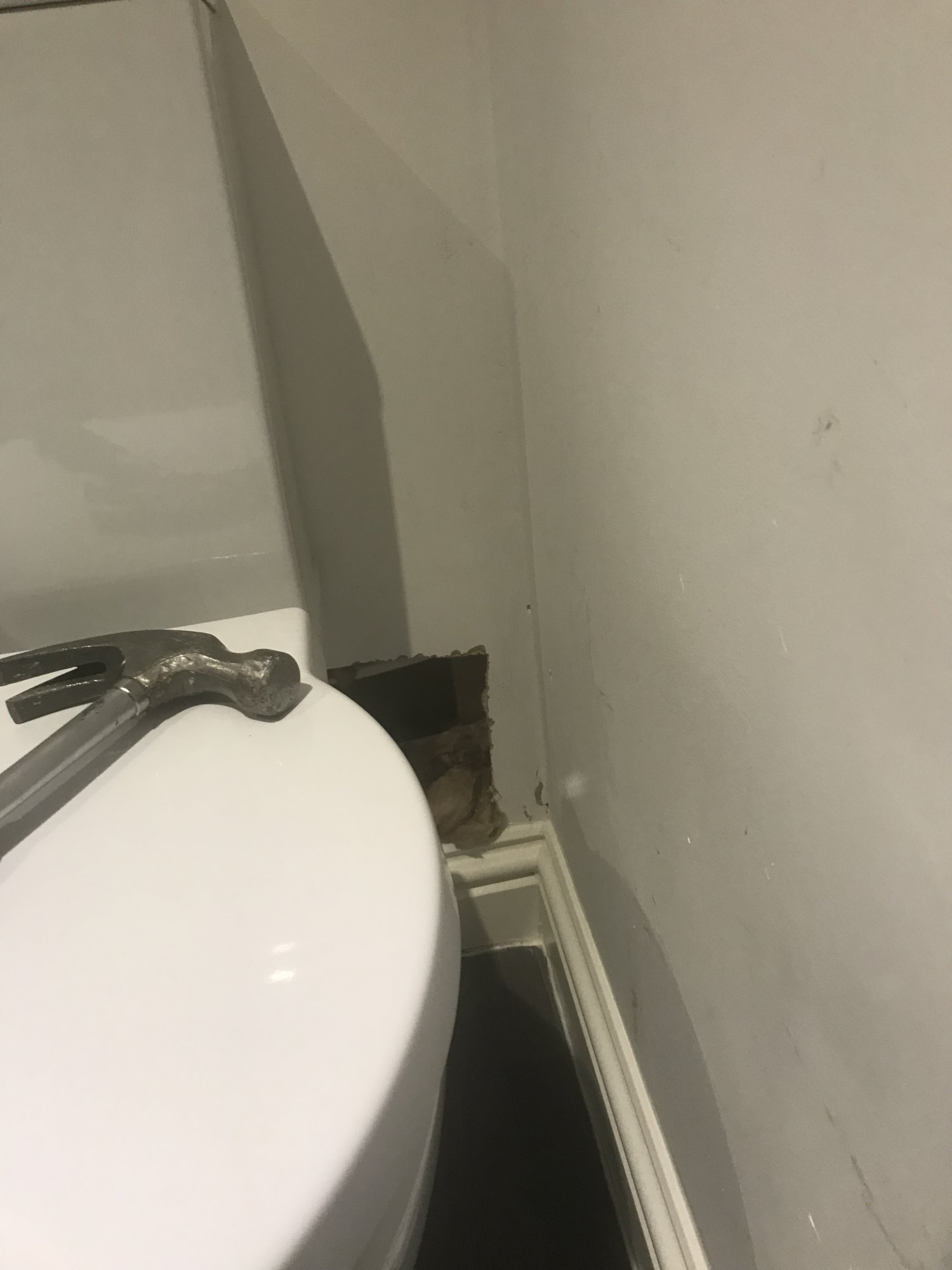 A4B4E733-4EC3-4FAE-8055-B55F92786EE5