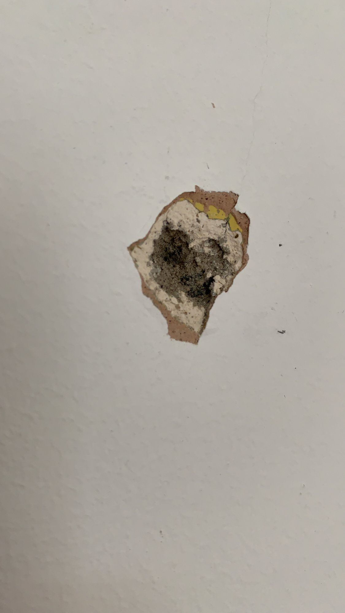 A9F4733F-0BBE-4E8C-BAF9-CBAE67F6C2DE