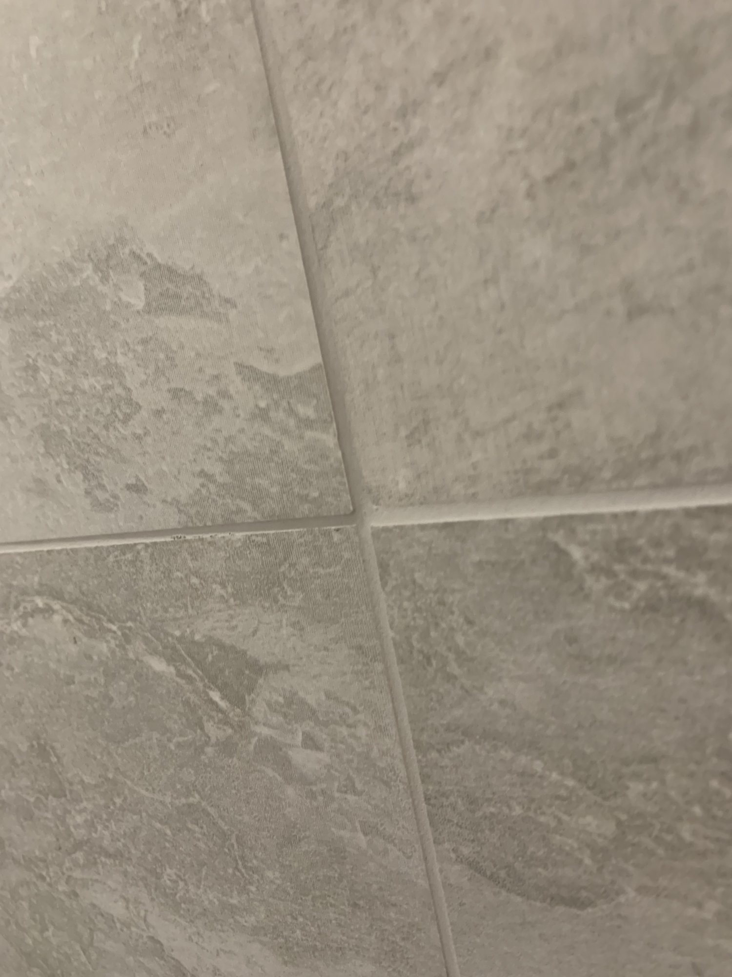 AB7AFBCB-B179-4501-8E72-F4C1941B9F98