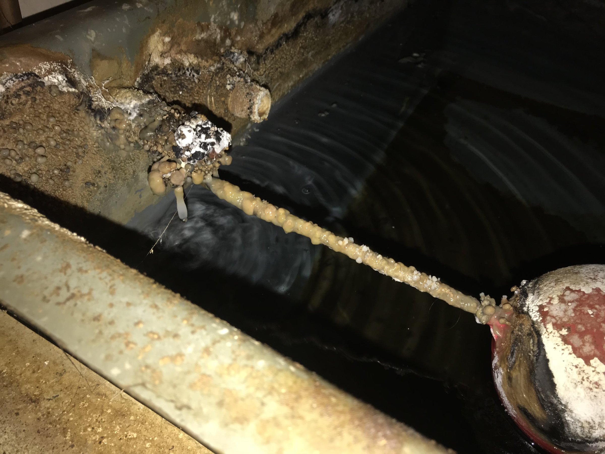 AC523348-9796-4E70-9AC1-93284ED89C51