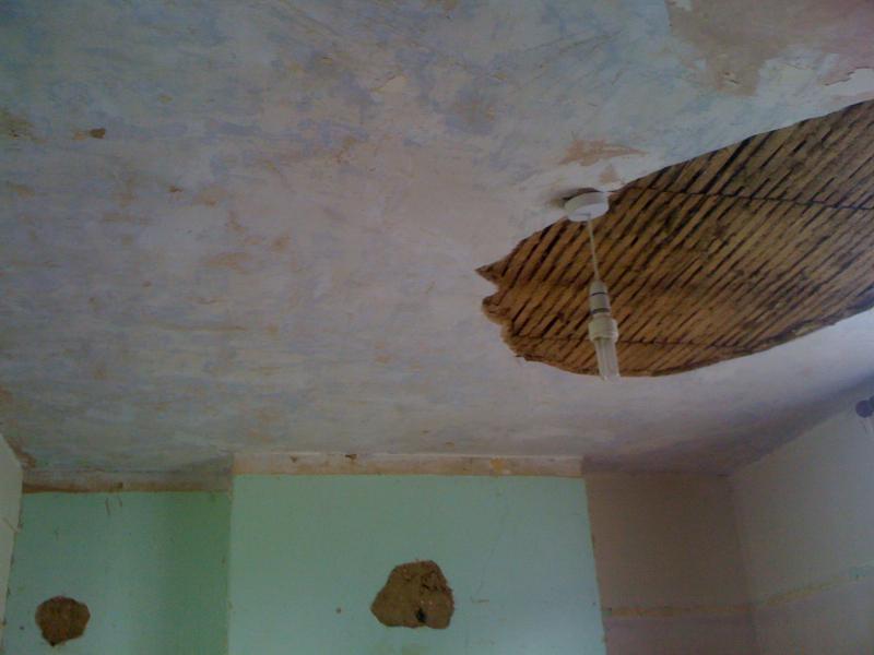 Another Ceiling shot