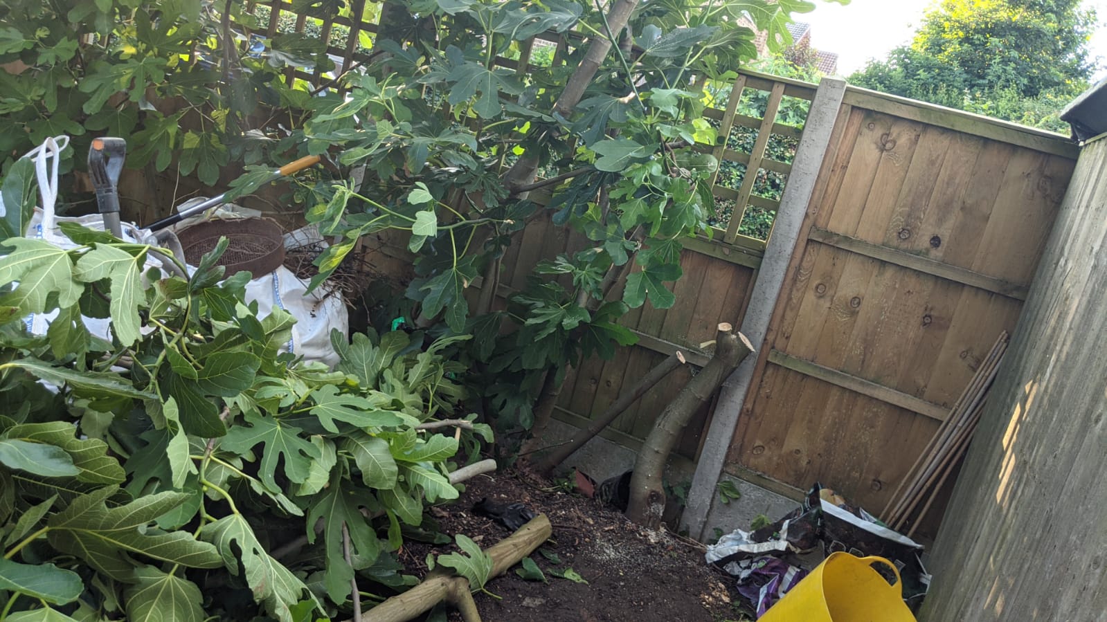 B5699d2d-5b8c-459b-ac83-4c9979e094b6