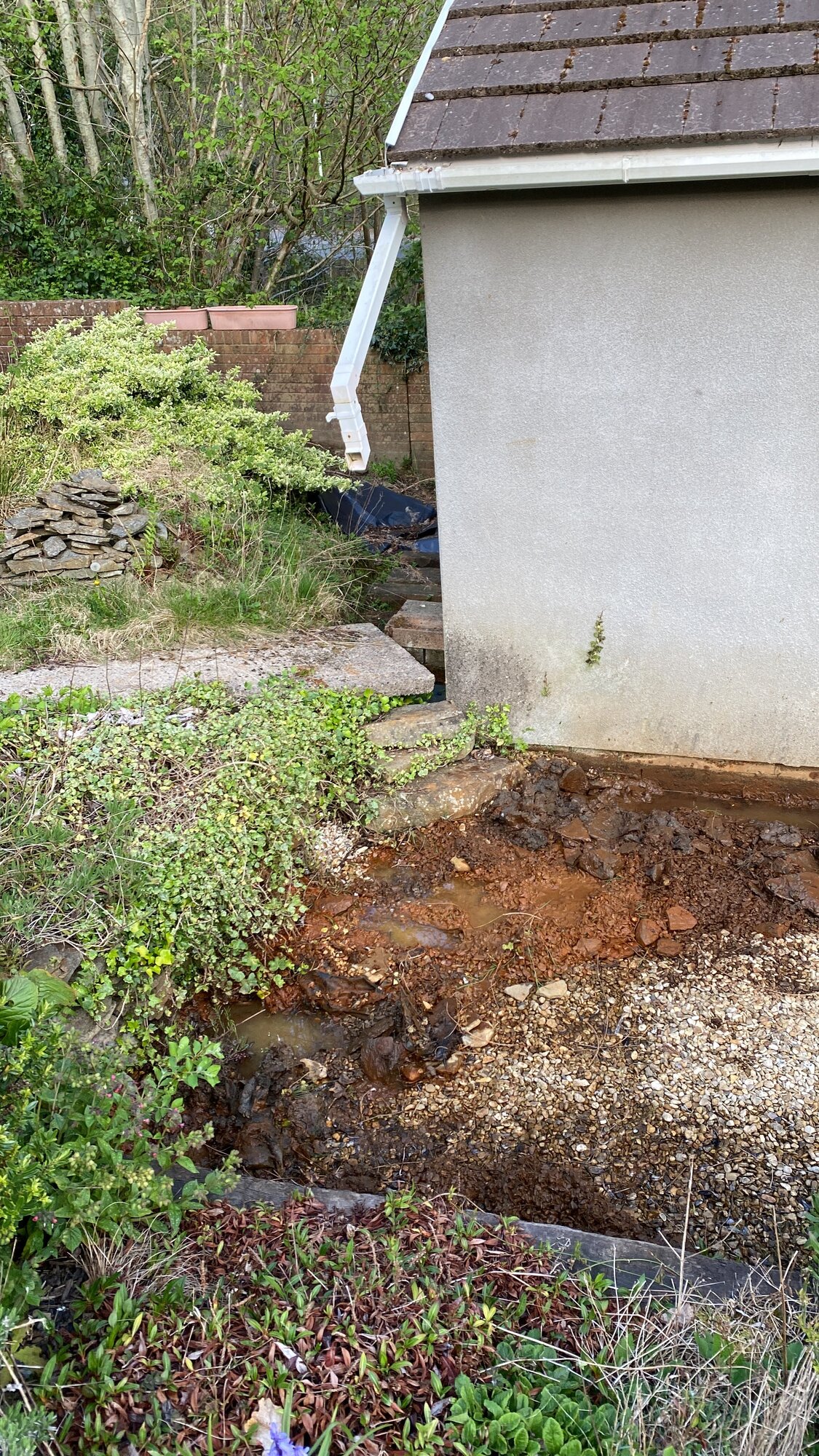 B6841E7F-4DE1-4E87-940B-5C81B18F8832