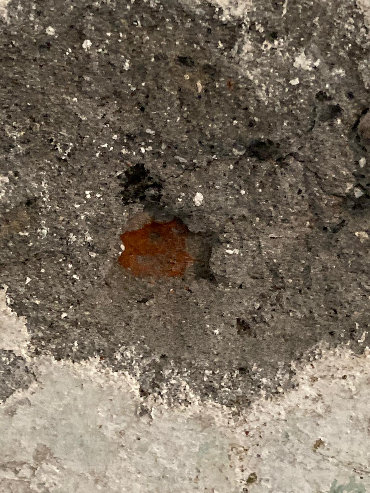 B72B6D0F-BD6D-4CDE-BCA4-E10ABF5786A4