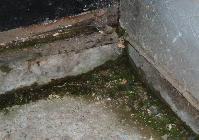 Back corner damp