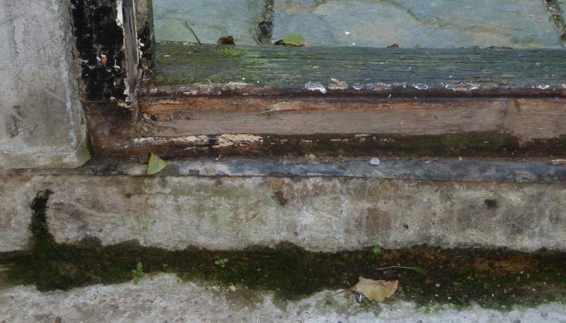 Back door damp close