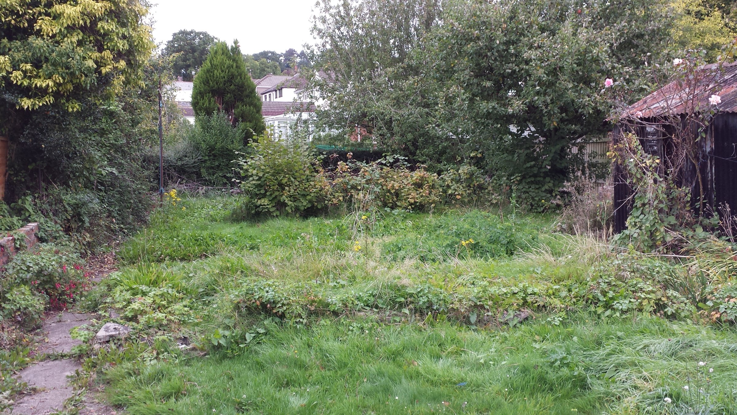 Back garden before work starts