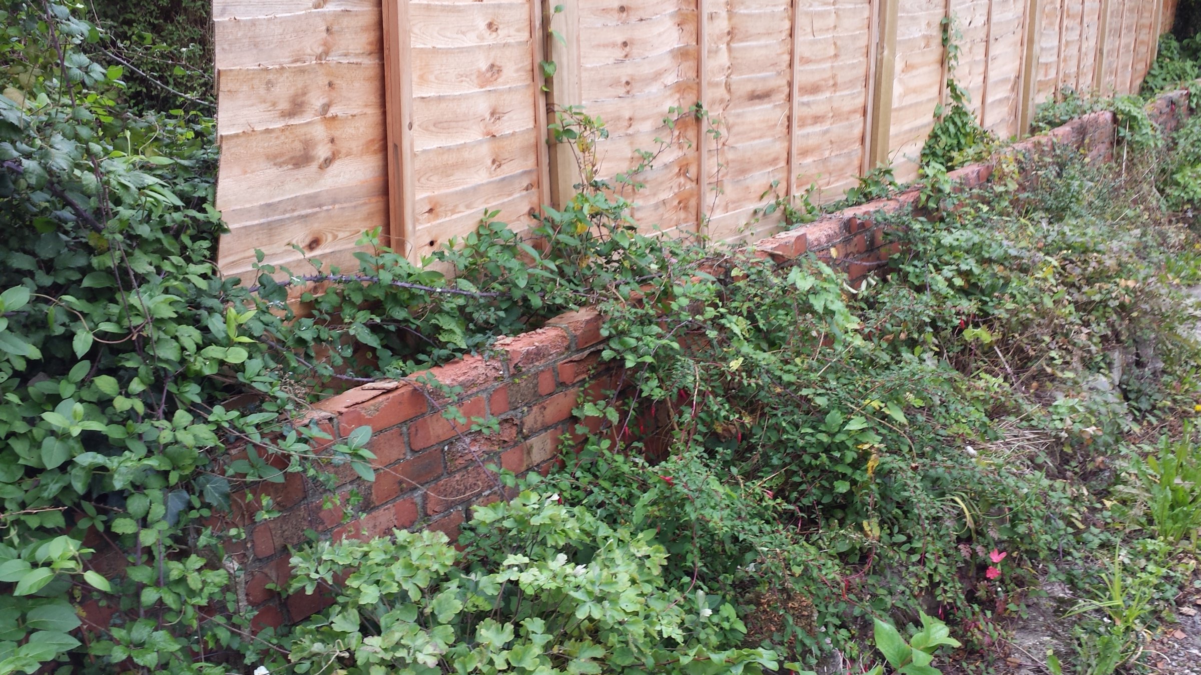 Back garden before work starts