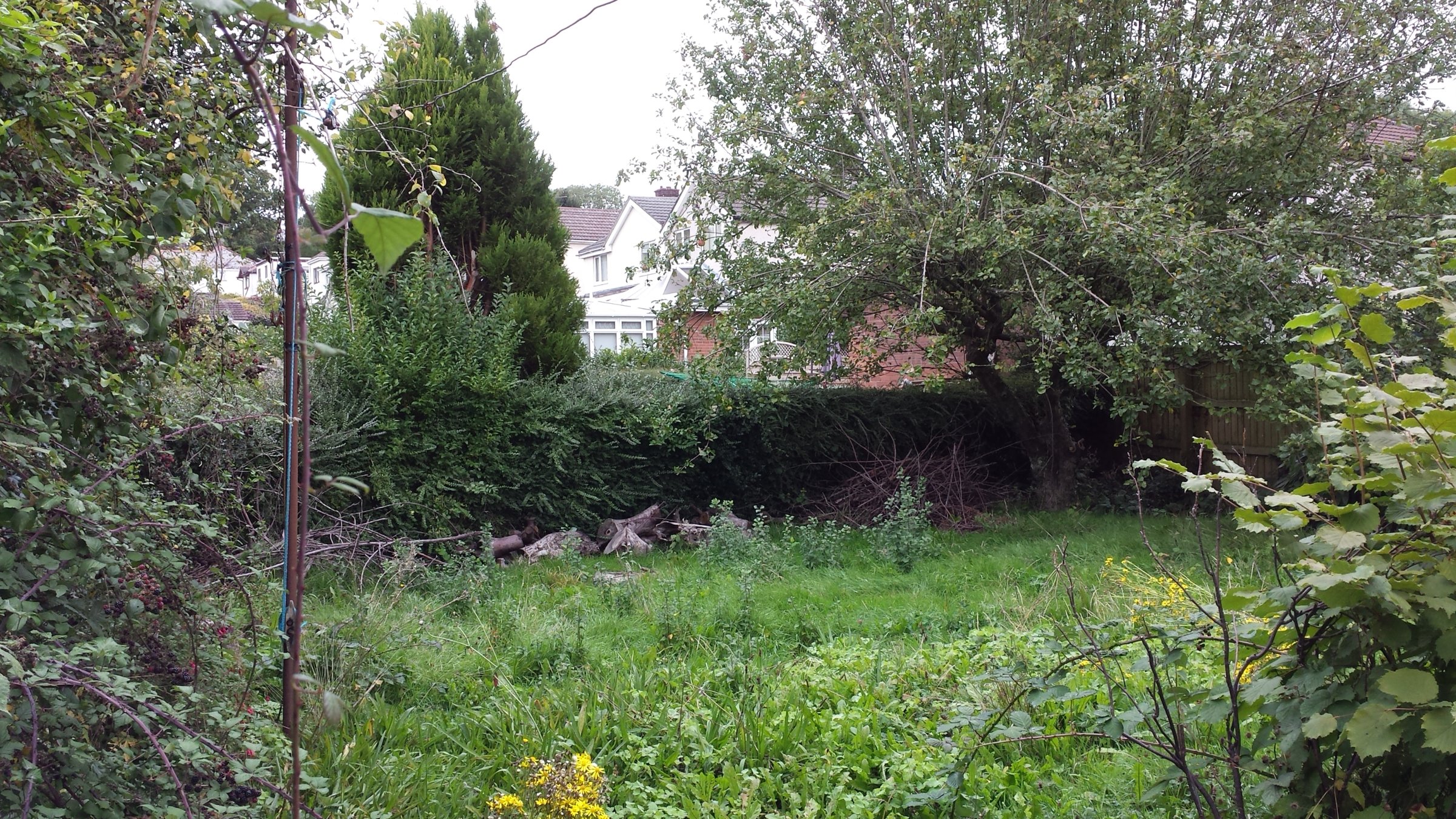Back garden before work starts