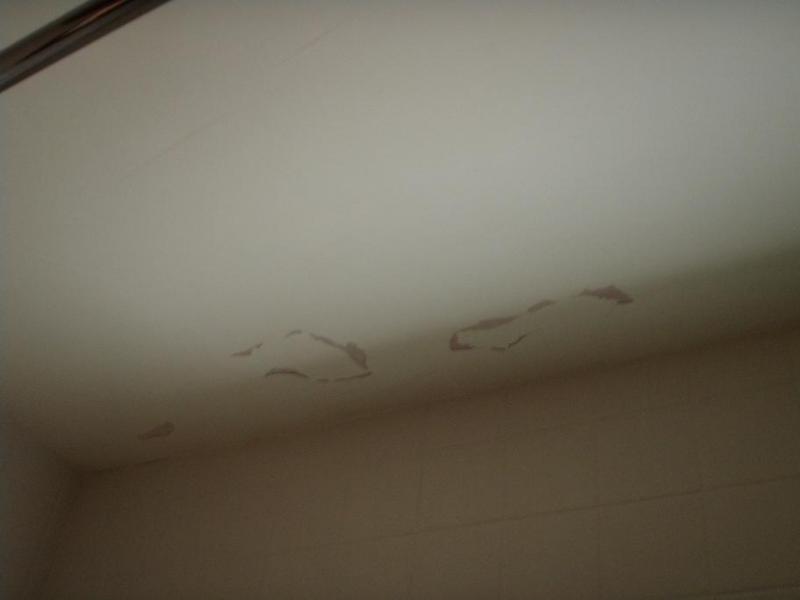 Bathroom Ceiling