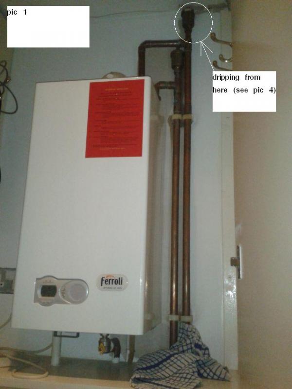 Boiler showing origin of dripping