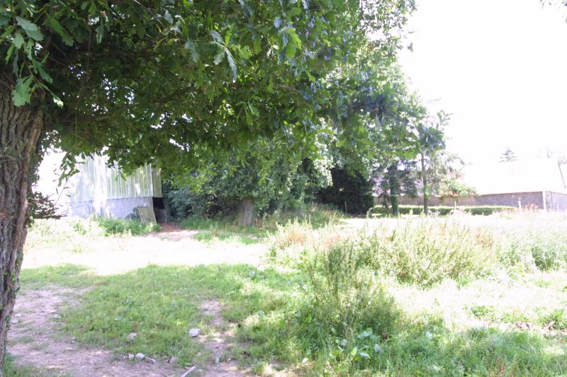 Bottom Field & Hangar