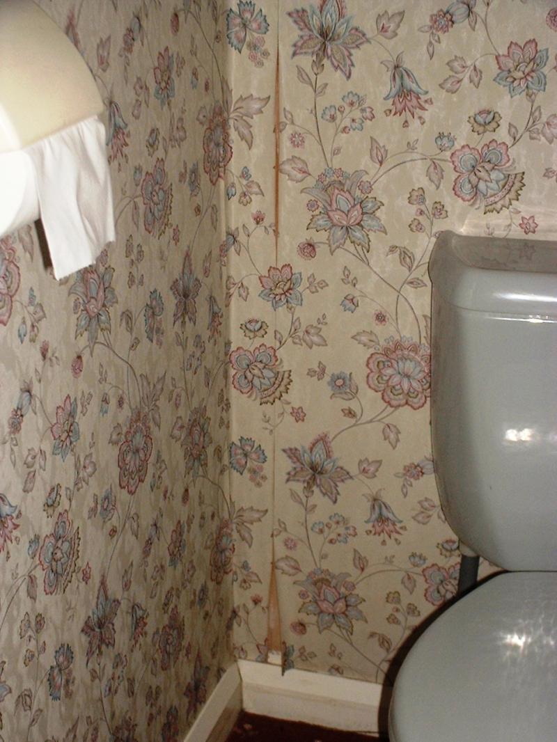 bottom half of loo wall