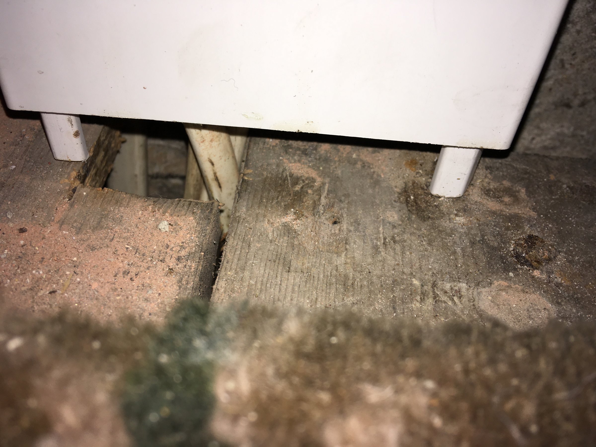 bottom of conduit to consumer unit