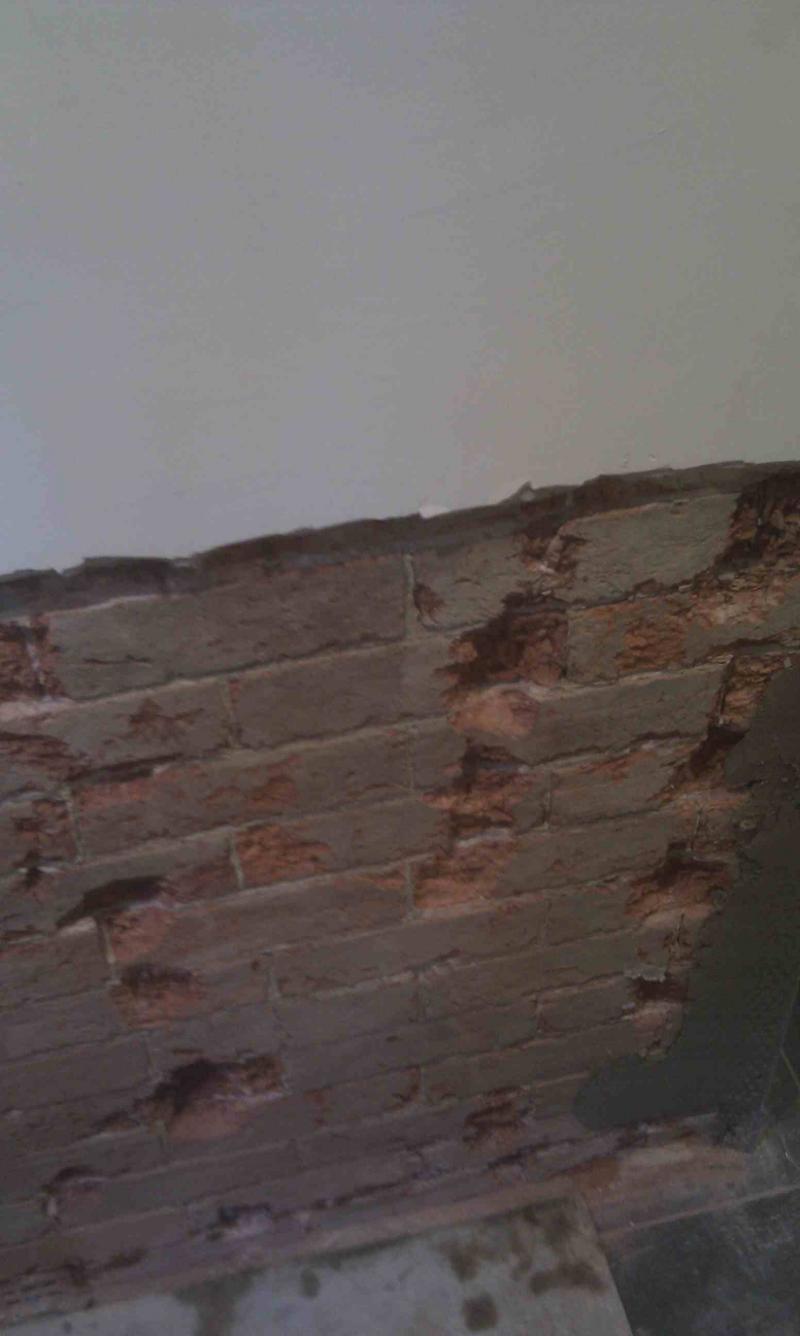 bricks after plaster removal
