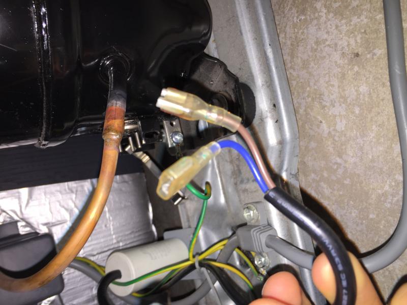 Brown and Blue Wires from capacitor(?)