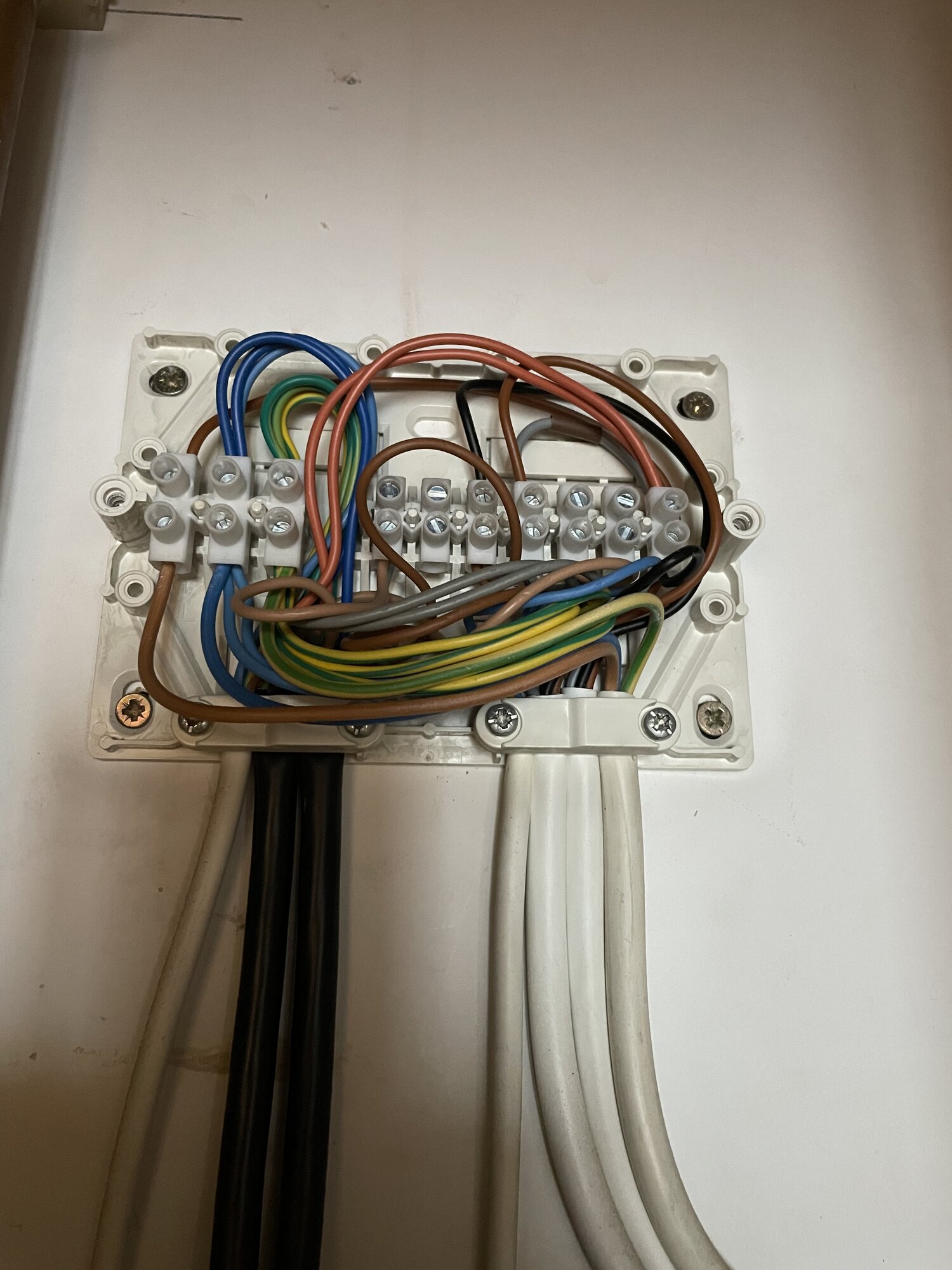 C187DC35-75ED-40DA-AEFC-C5FC61341F67