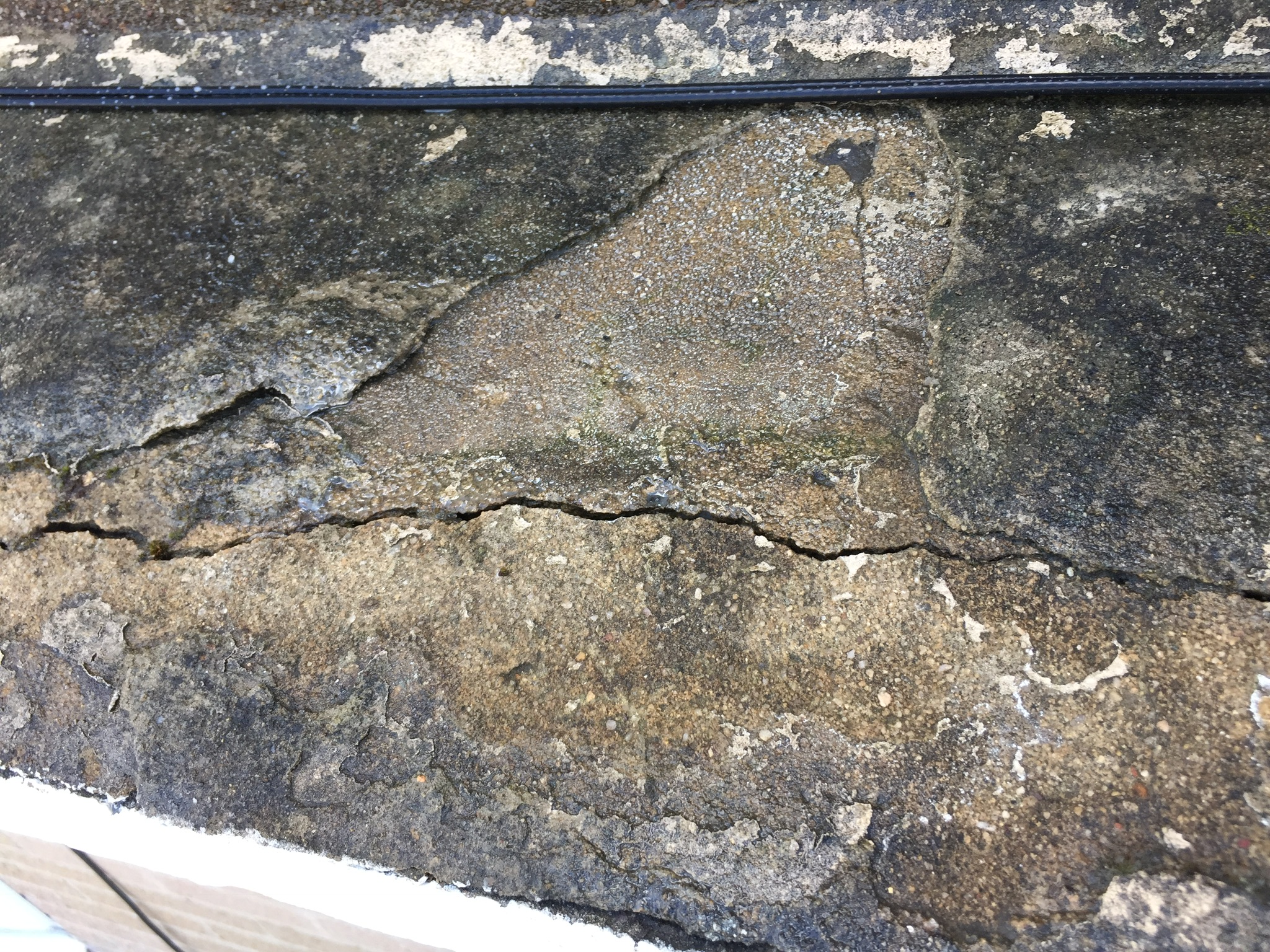 C304C672-8B7F-4E23-9B2A-9B517220E9F7