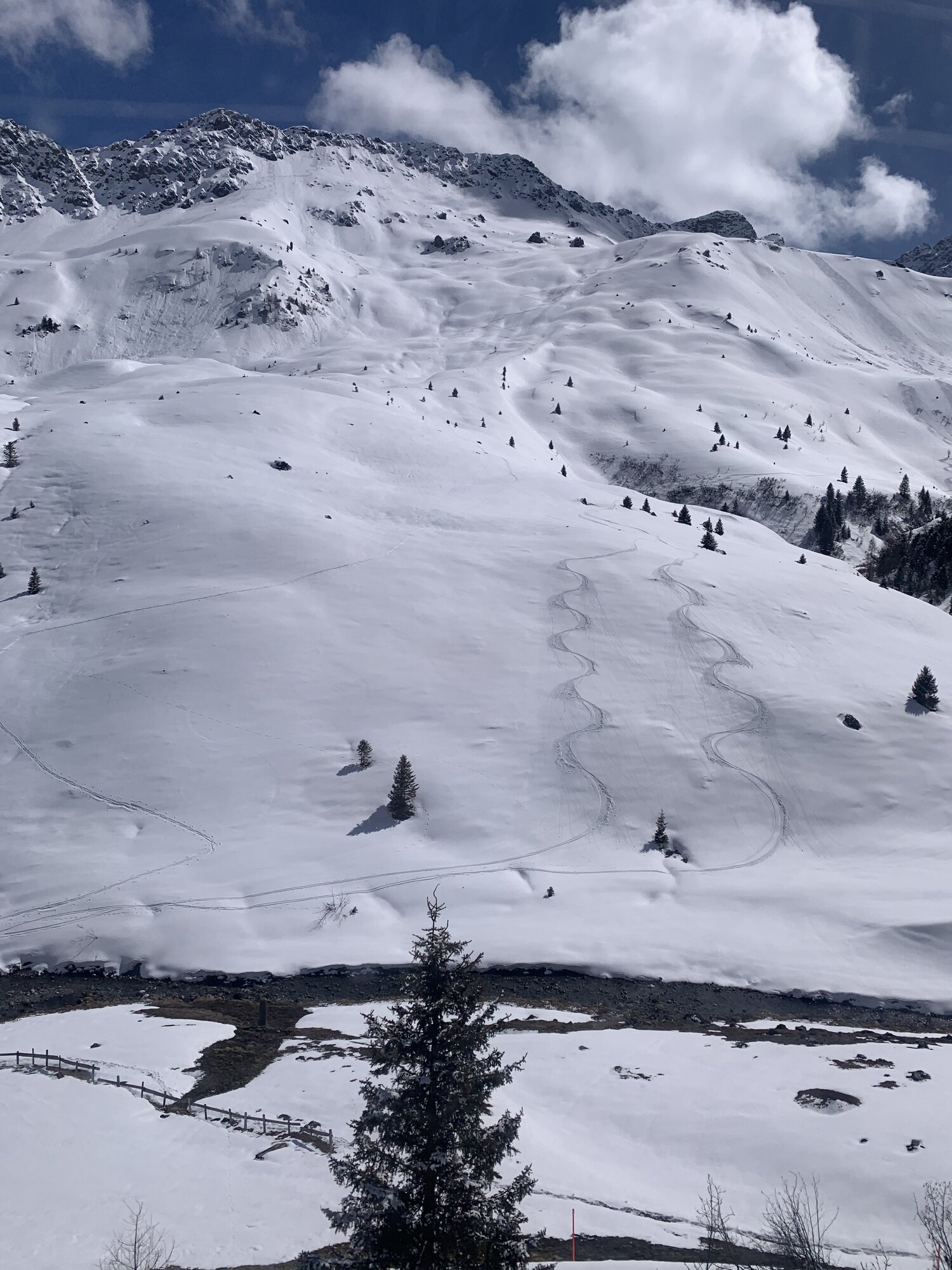 C3FA4B4D-BC21-4A61-BE33-020365E2C603