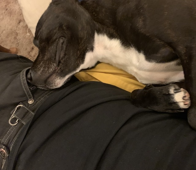 C45305BA-9340-4005-B8DB-4ABF2E0DF1DF