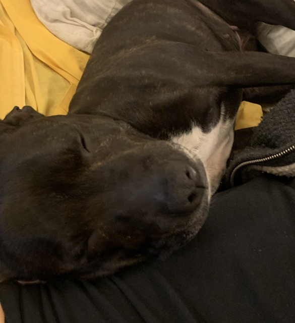 C7DF3C80-3064-4DA7-B350-D227A1B9C085