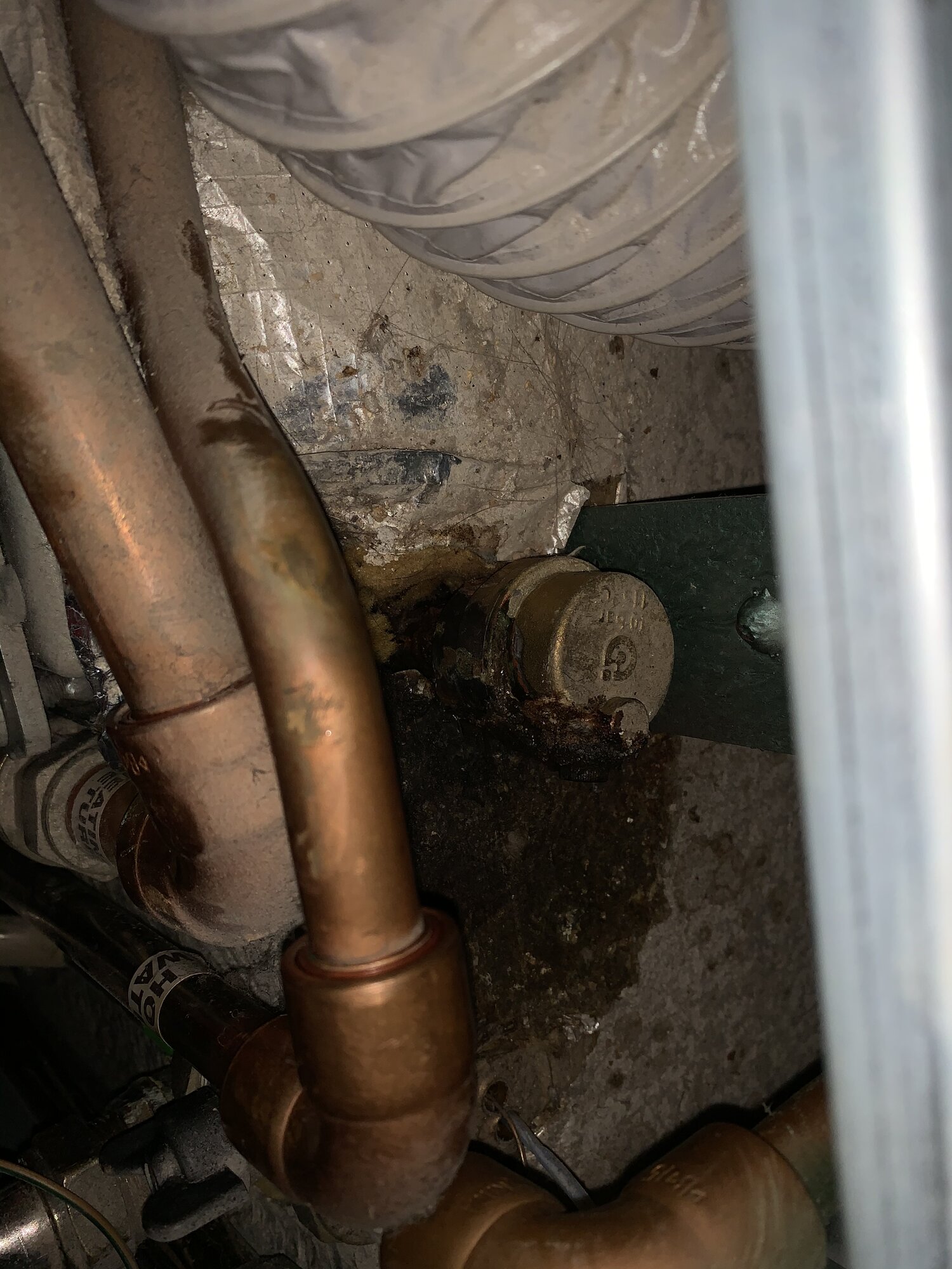 C9C0686A-2CDE-4220-A10B-8F46CB361C9D