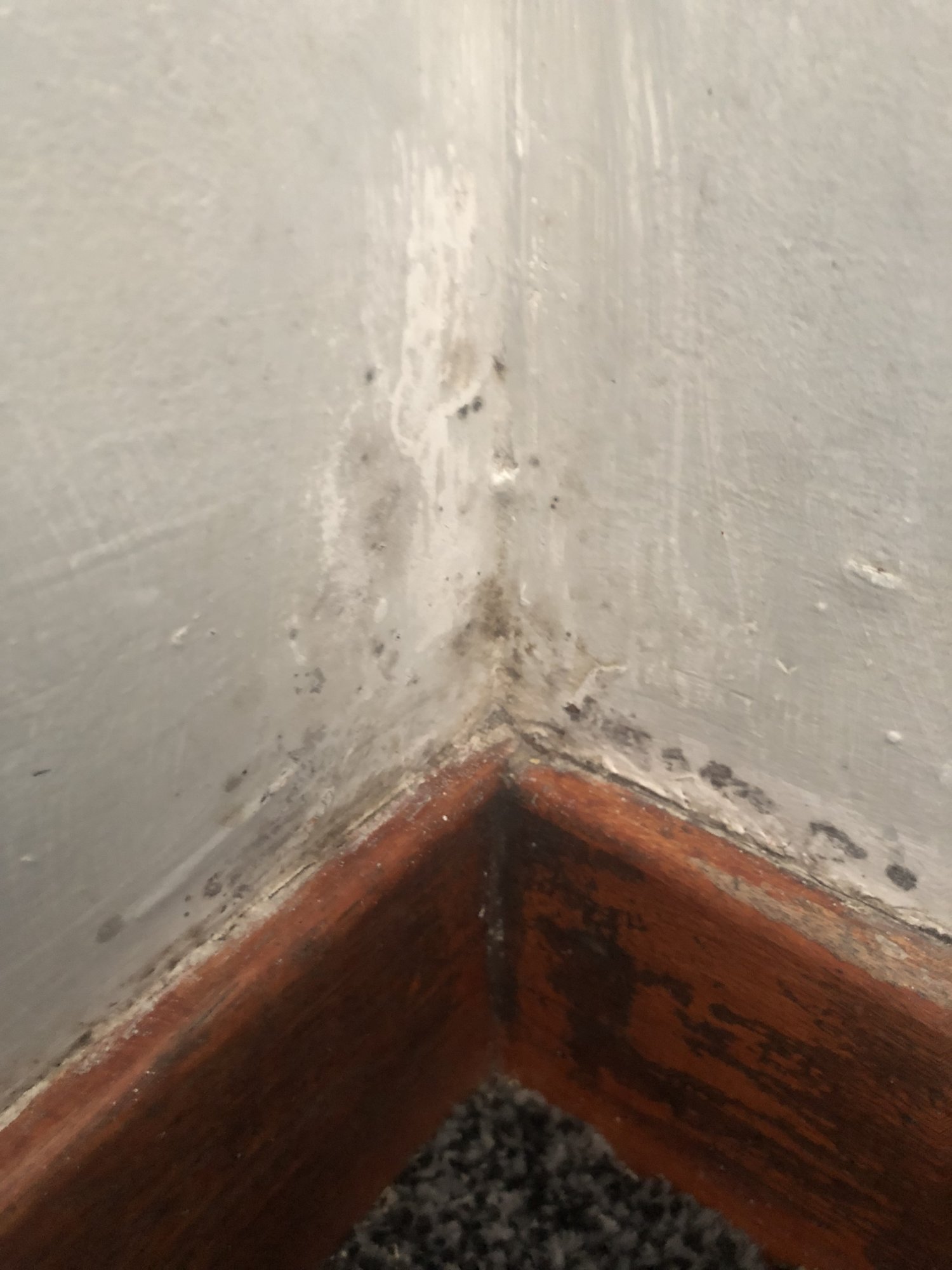 CA31AFC3-3EF6-4C40-994C-D130EC3DD789