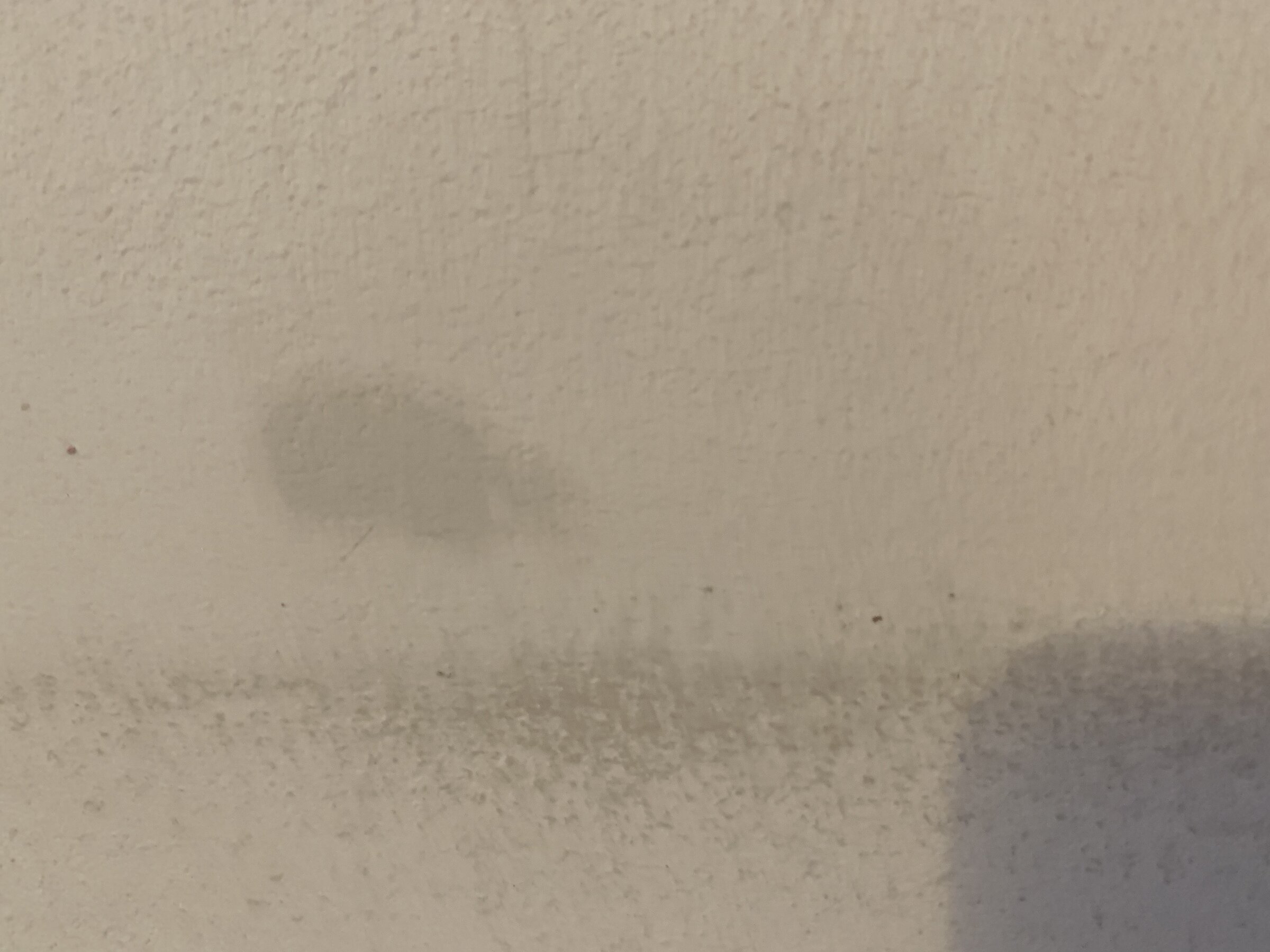 CC93B30E-D76E-429C-843C-BBC6E9EA9BA3