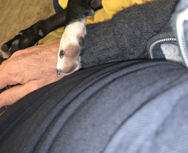 CE01CF18-9385-4C68-9078-2A5F4BA694F8