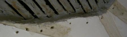 Ceiling Screw into Position