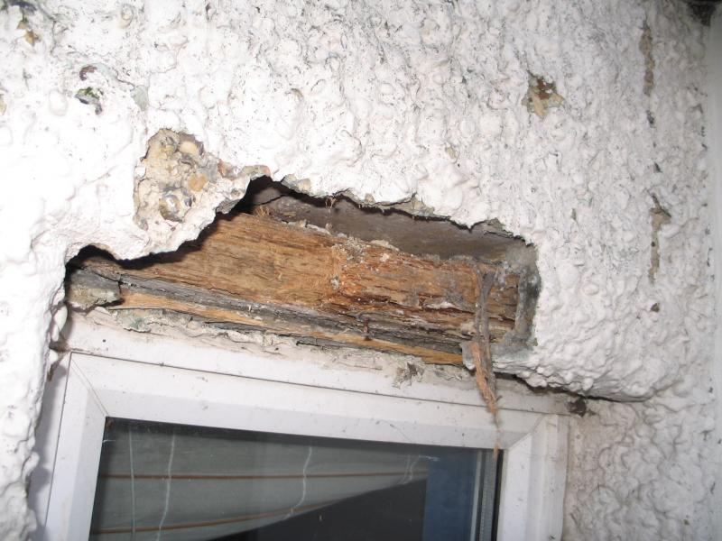 Close up of the window