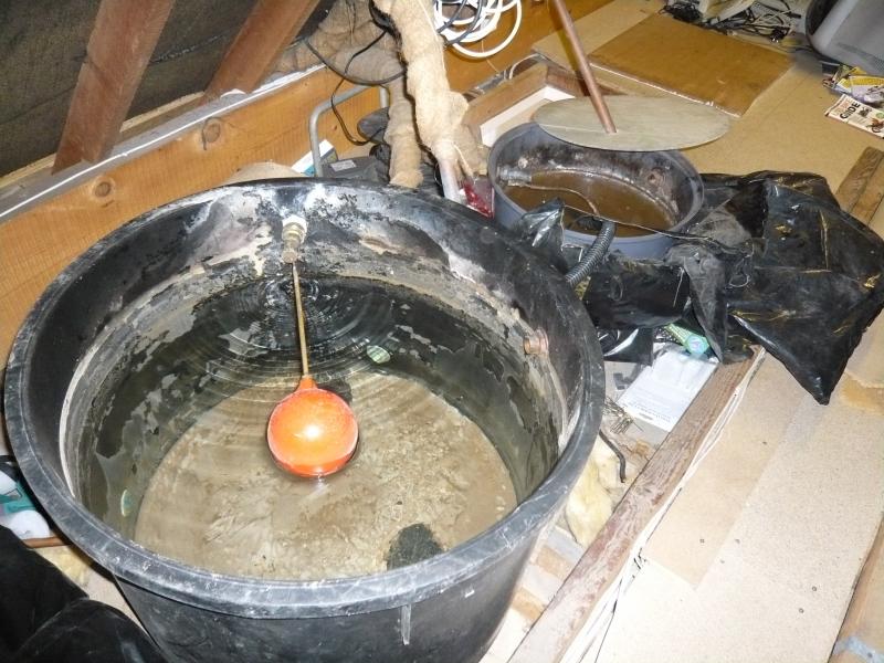 Cold tank and F&E Tank