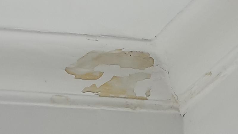 Coving Damage