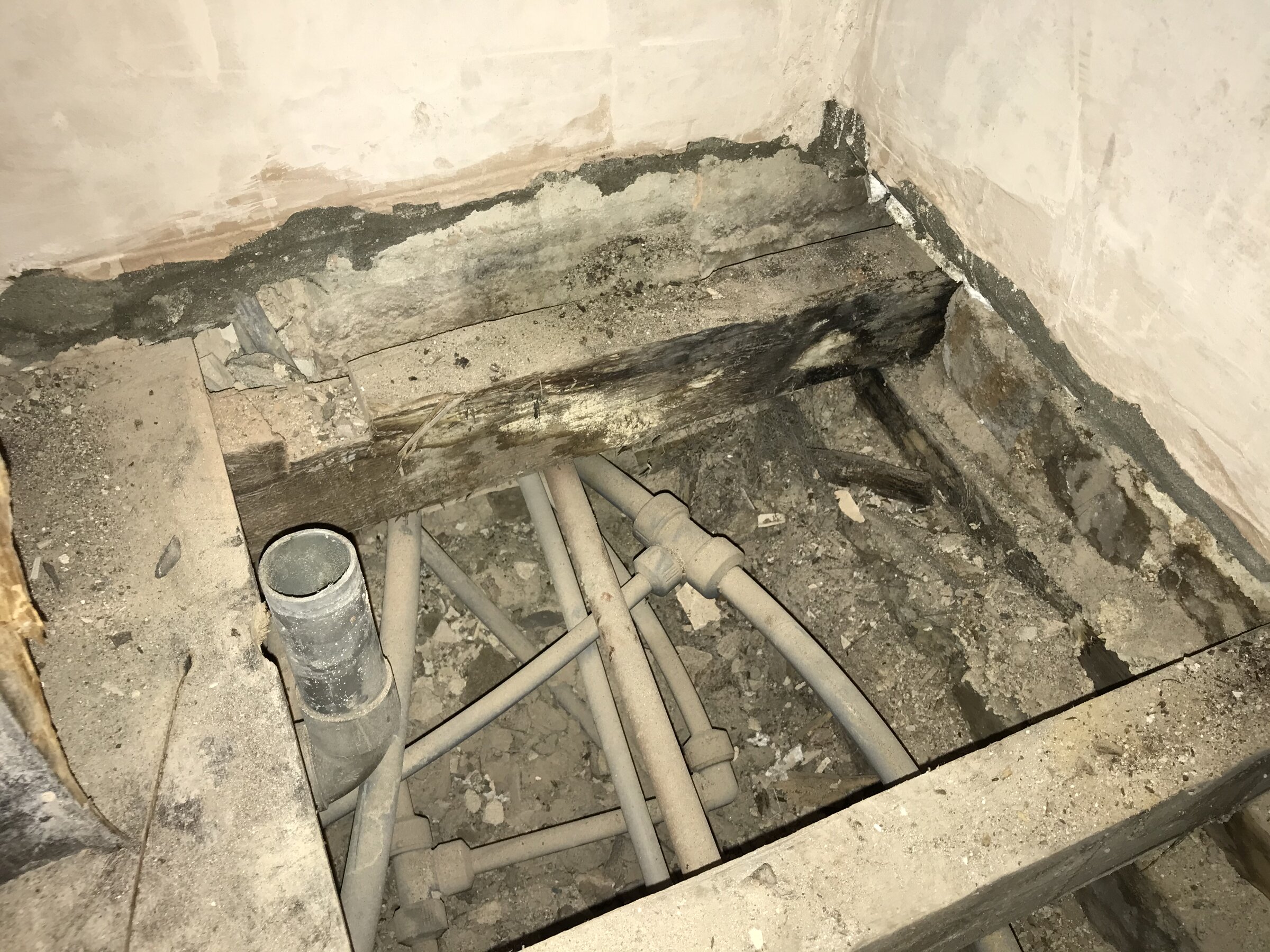 D2D3AB2A-6CDA-4716-8C07-F1E72A2B2D7C