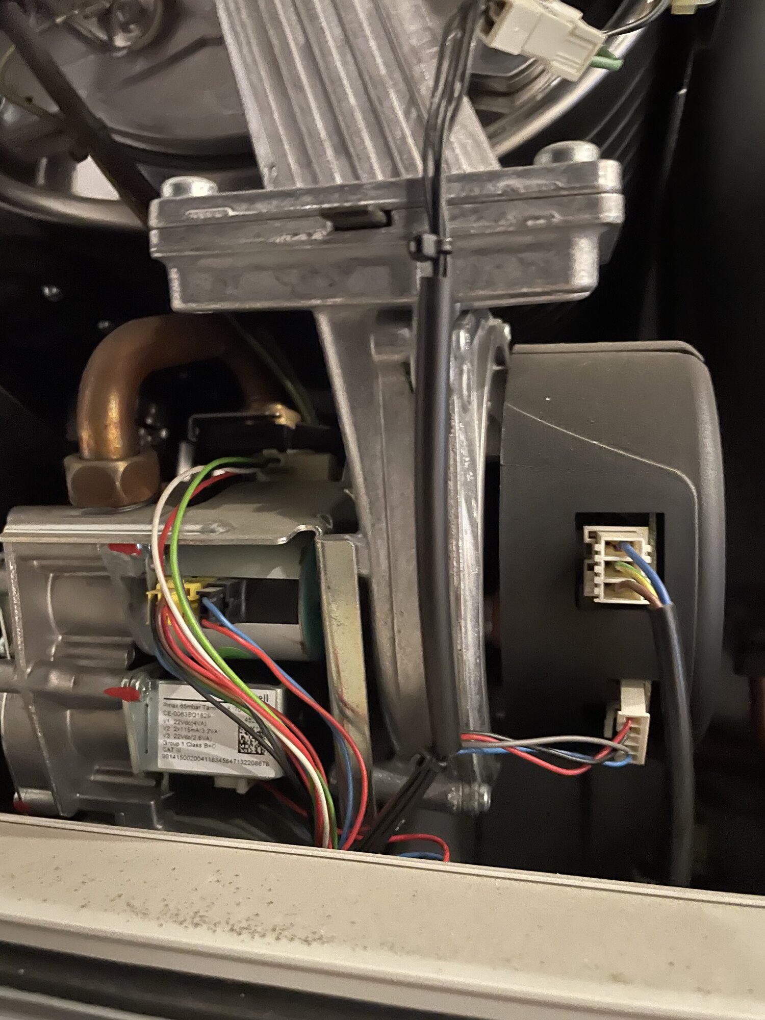 D43E1393-C500-4D8A-B6E6-ACB57DE556A4