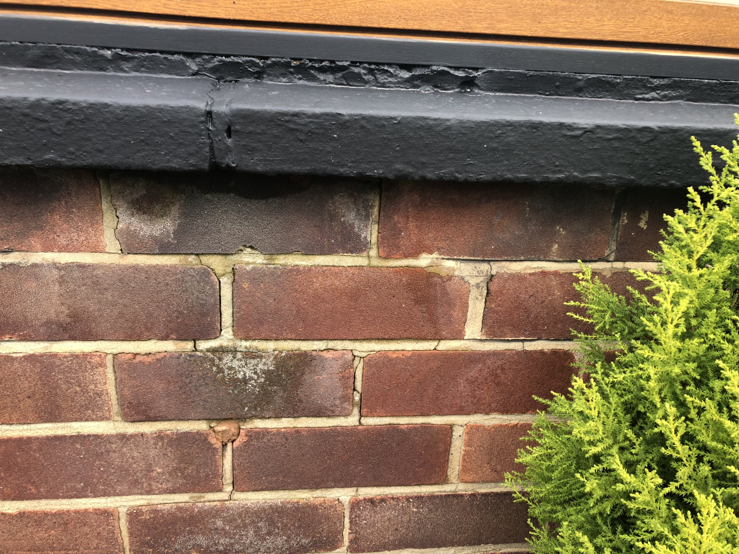 D4862BD3-355C-40FD-A424-4FF00C07082D