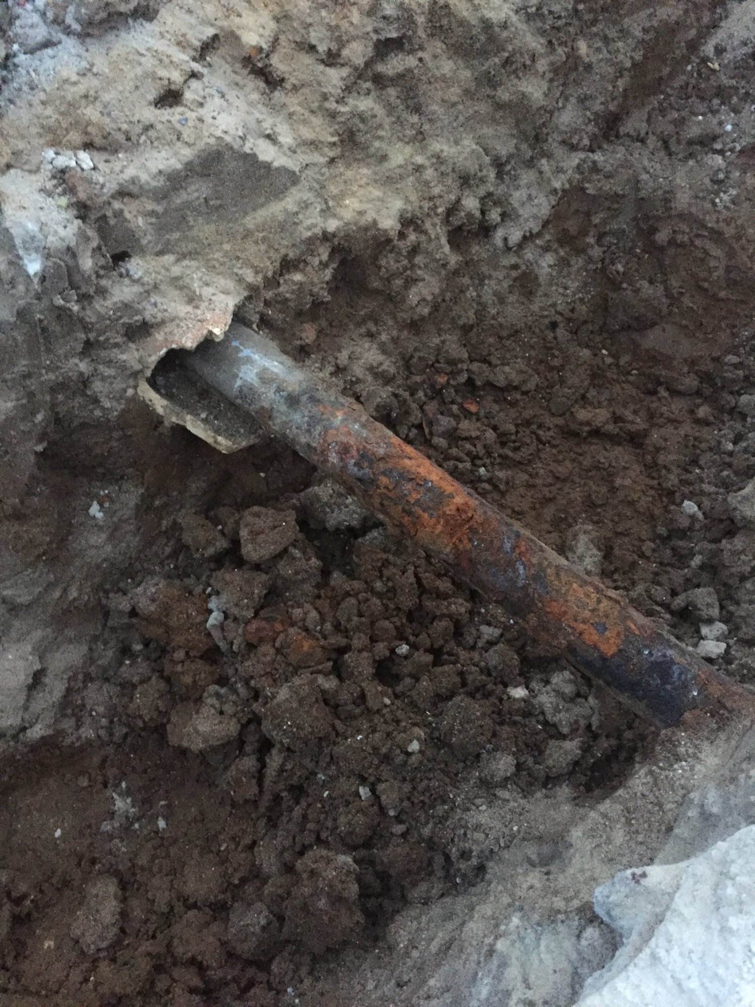 D87B22AB-D3B3-4CAA-9294-2D9A25428CCF