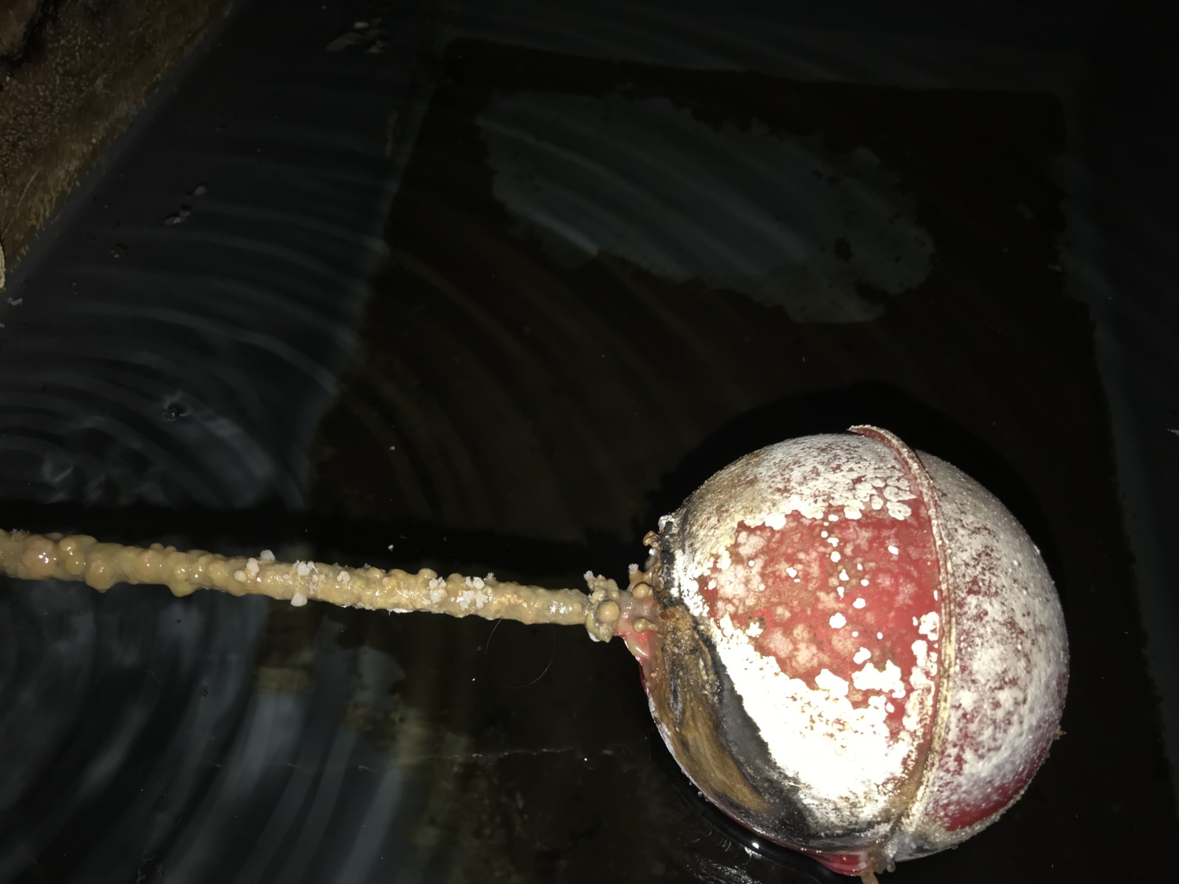 D900DC45-4D56-4CF0-8257-1888E7AFF6AA