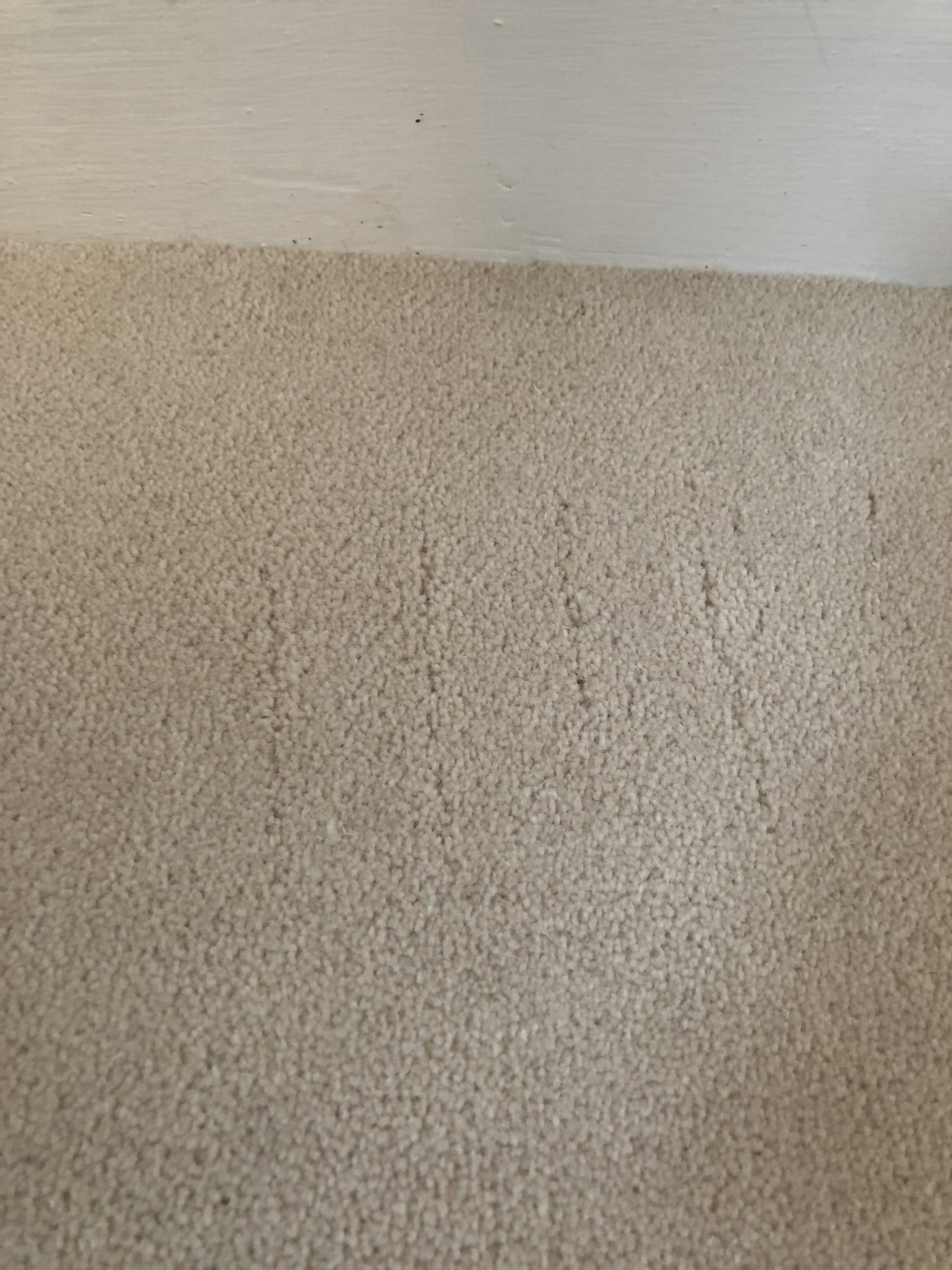 Damage by stretcher?