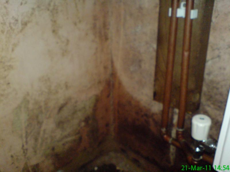 'Damp' kitchen wall.