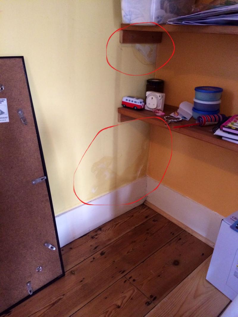 Damp patch in the dining room