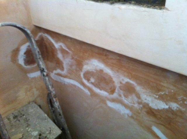 Damp patches appearing bottom left