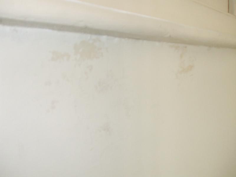 Damp Patches - Close Up