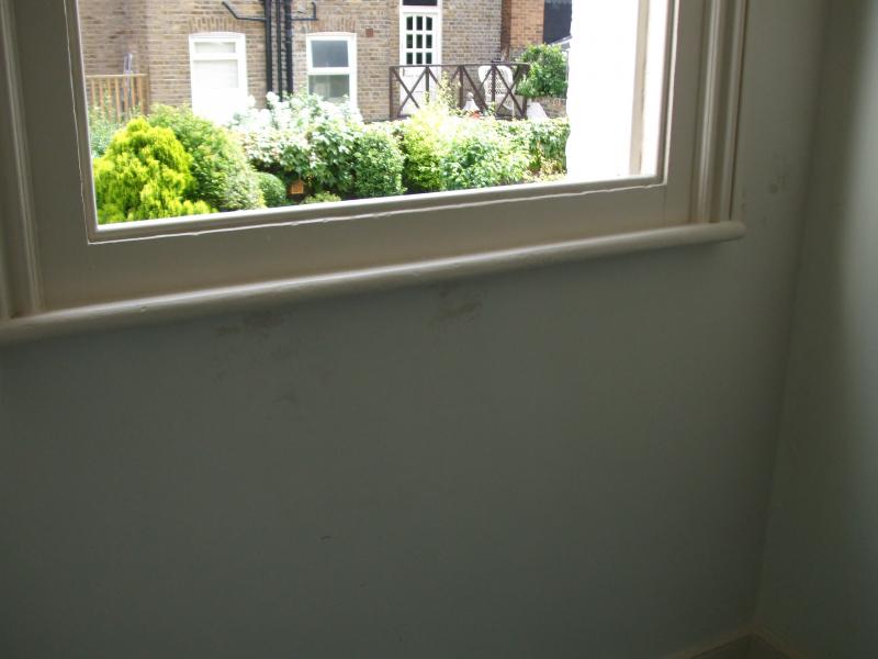Damp Patches Underneath