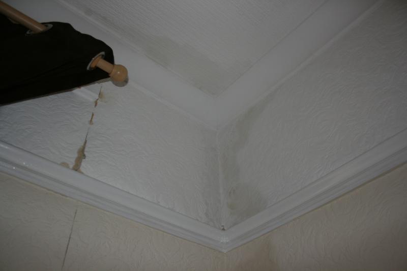 Damp pic 2