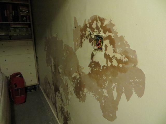 Damp wall 1