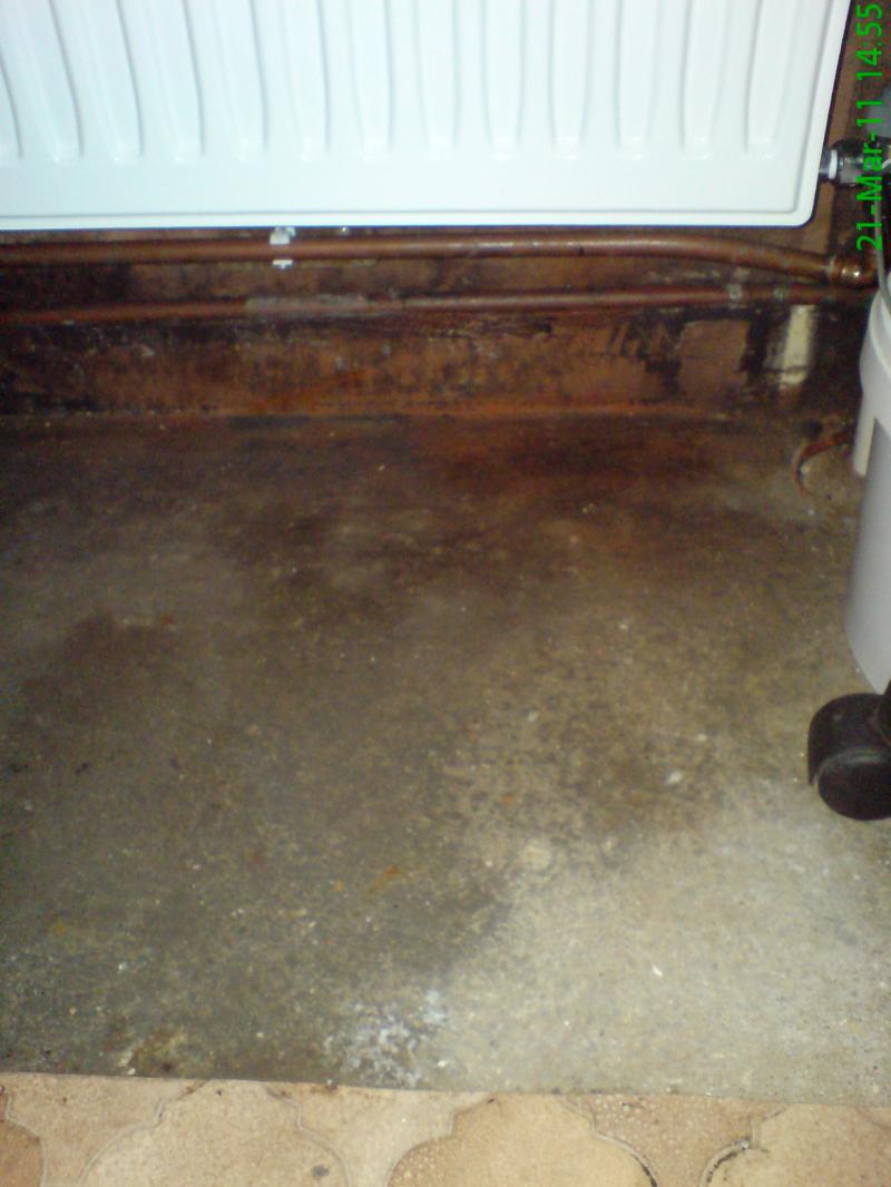 Damp wall/floor