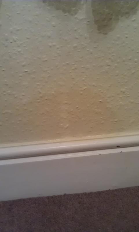 Damp Wall Inside Front 2