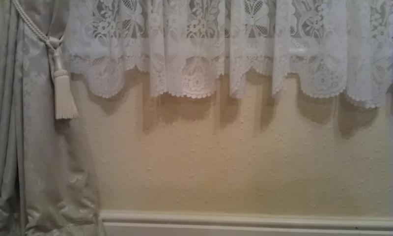 Damp Wall Iside Front 1